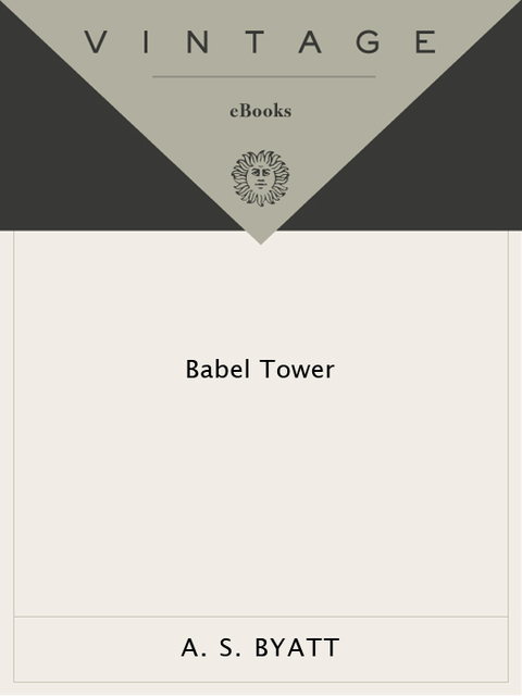 Cover image for book Babel Tower