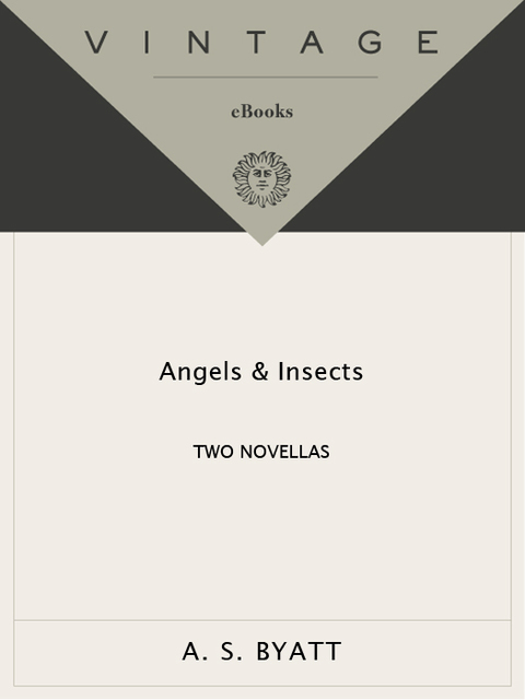 Cover image for book Angels & Insects