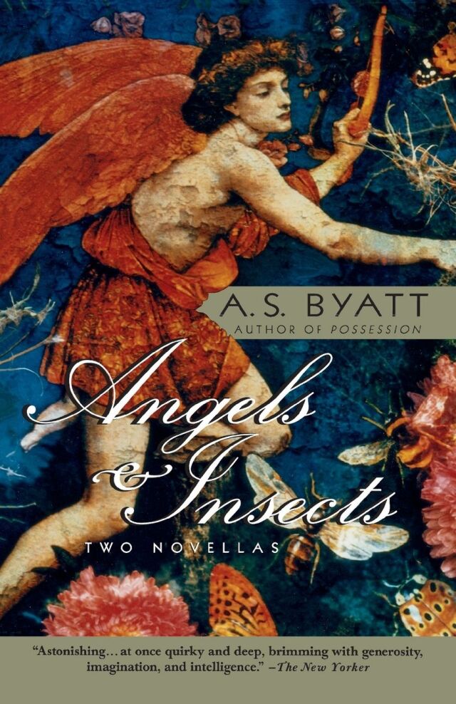 Angels & Insects
