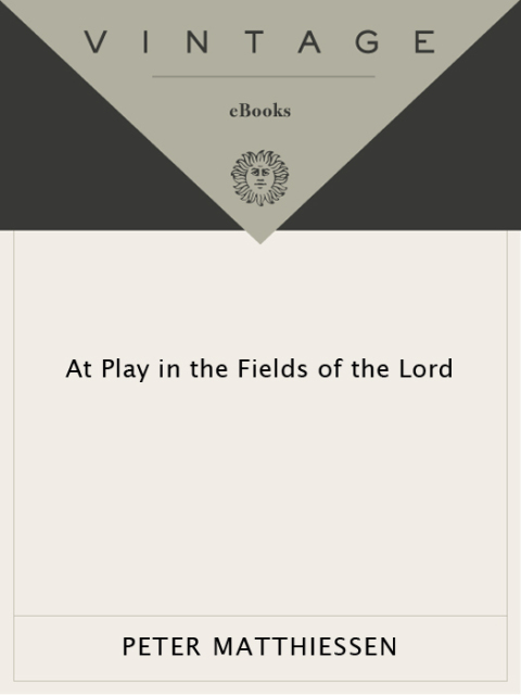 Cover image for book At Play in the Fields of the Lord
