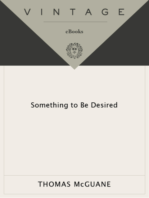 Cover image for book Something to Be Desired
