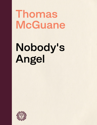 Nobody's Angel