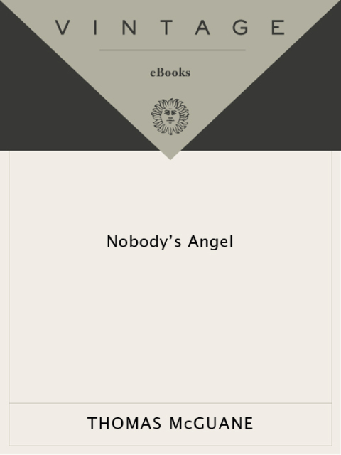 Cover image for book Nobody's Angel