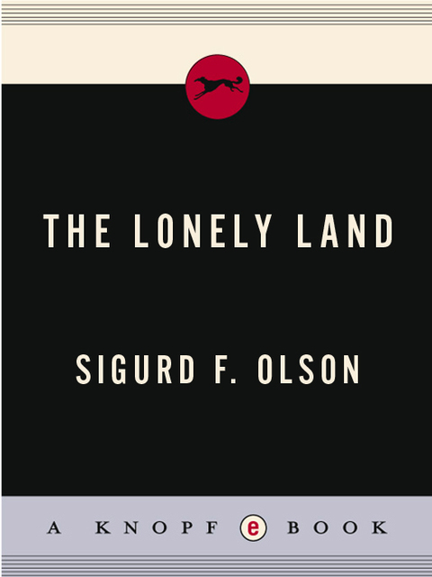 Cover image for book Lonely Land