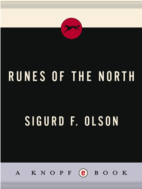 Cover image for book Runes of the North