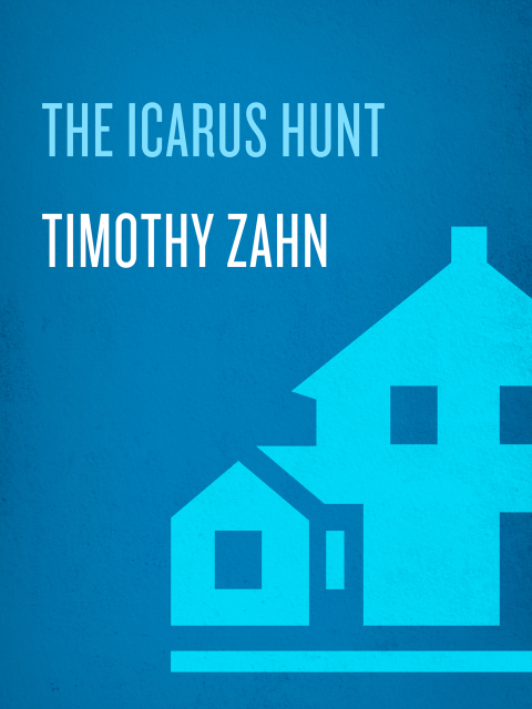 Cover image for book The Icarus Hunt