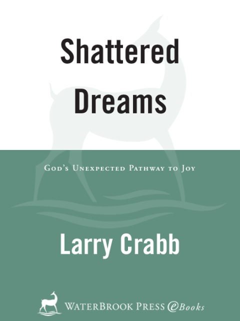 Cover image for book Shattered Dreams