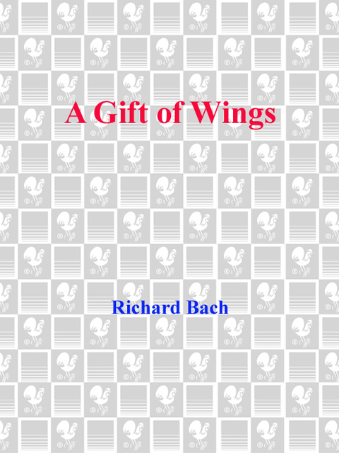 Cover image for book A Gift of Wings