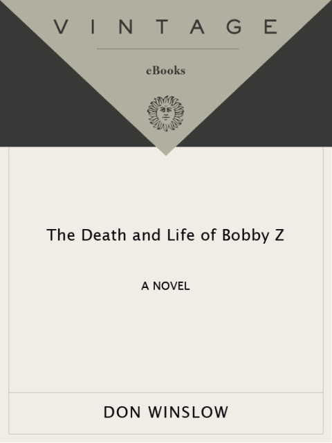 Cover image for book The Death and Life of Bobby Z
