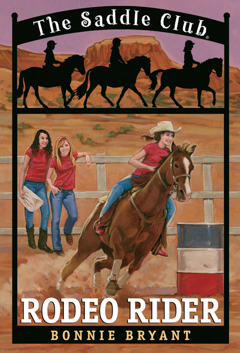 Cover image for book Rodeo Rider