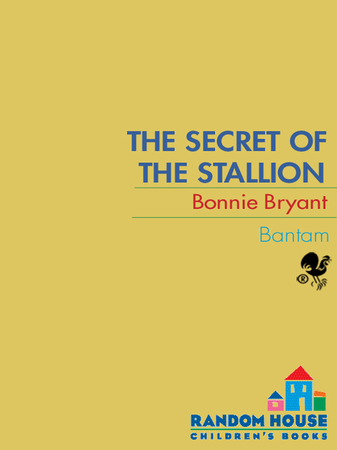 Cover image for book Secret of the Stallion
