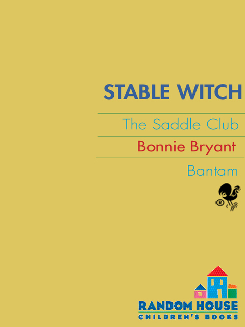 Cover image for book Stable Witch