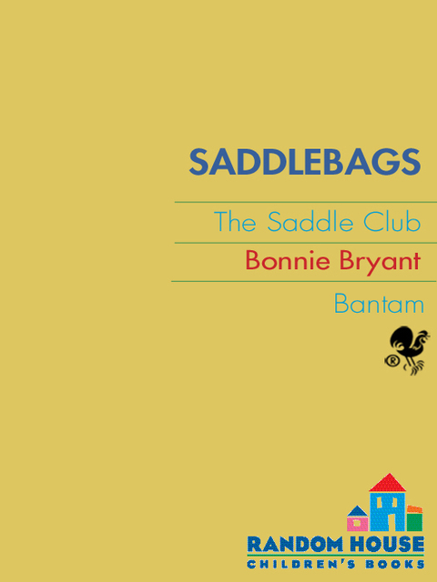 Cover image for book Saddle Bags