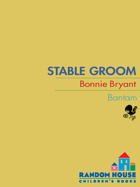 Cover image for book Stable Groom