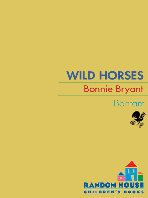 Cover image for book Wild Horse
