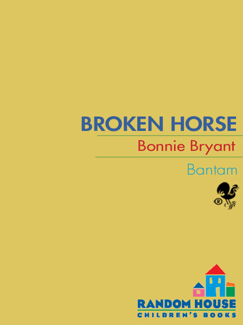 Cover image for book Broken Horse