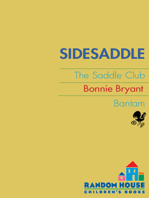 Cover image for book Sidesaddle