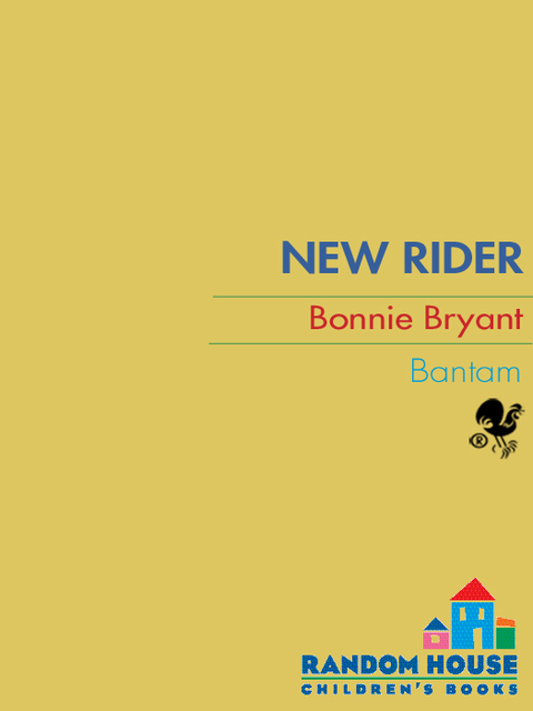 Cover image for book New Rider