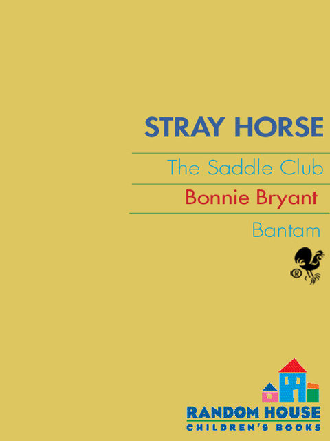 Cover image for book Stray Horse