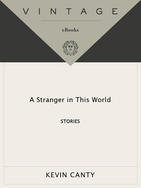 Cover image for book A Stranger in This World