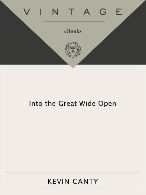 Cover image for book Into the Great Wide Open