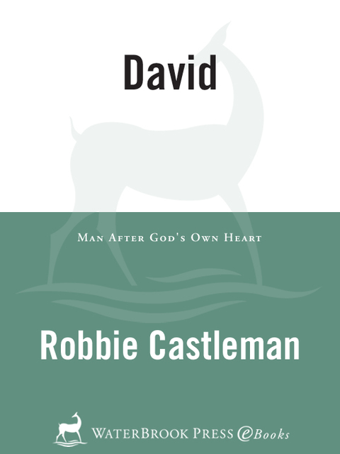 Cover image for book David