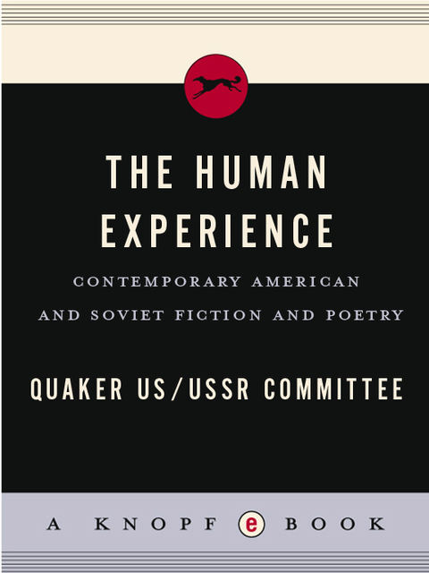 Cover image for book The Human Experience