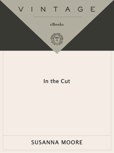 Cover image for book In the Cut