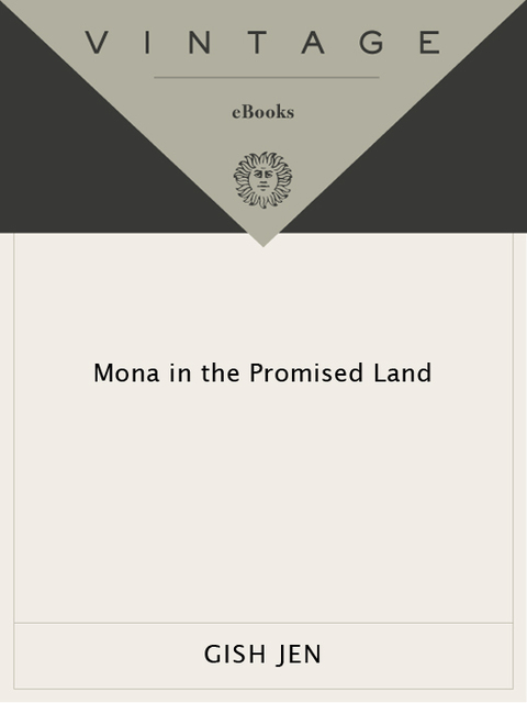 Cover image for book Mona in the Promised Land