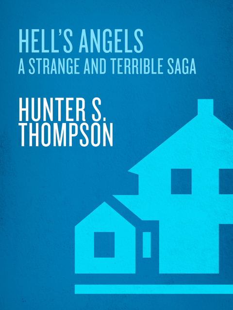 Cover image for book Hell's Angels