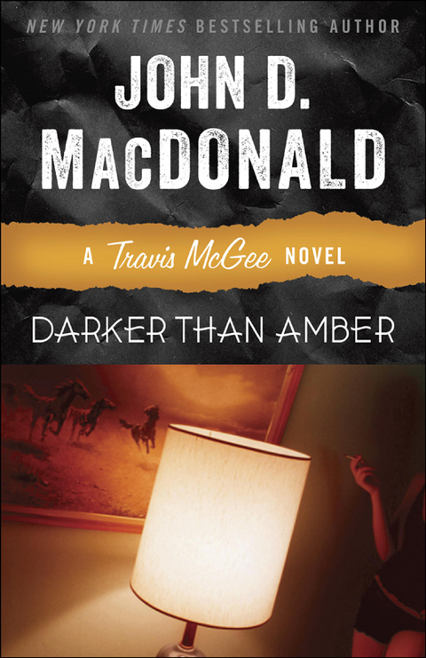 Cover image for book Darker Than Amber