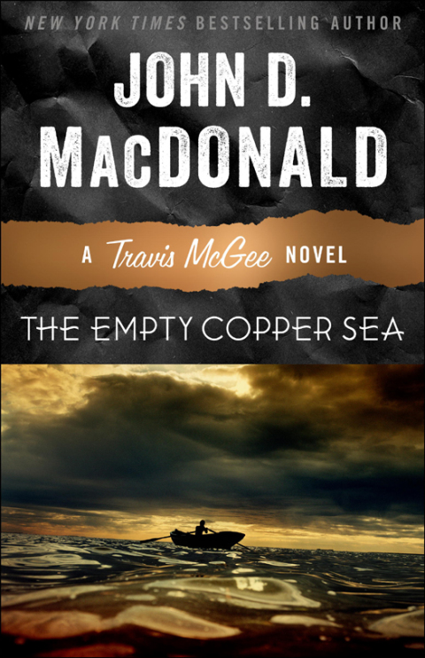 Cover image for book The Empty Copper Sea