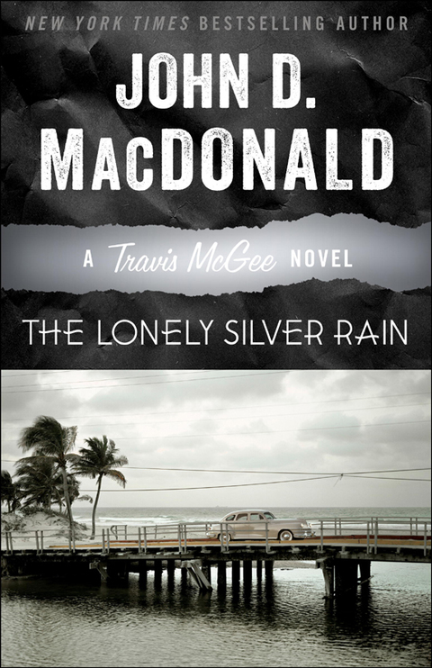 Cover image for book The Lonely Silver Rain