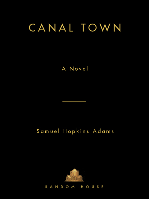 Cover image for book Canal Town