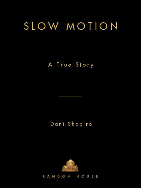 Cover image for book Slow Motion