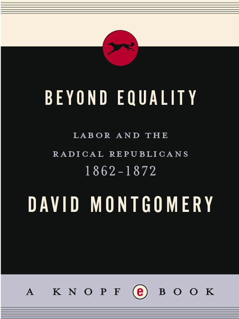 Cover image for book Beyond Equality