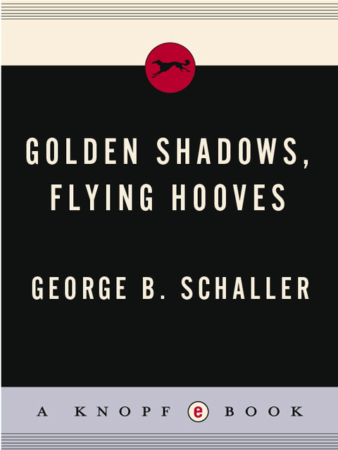 Cover image for book Golden Shadows