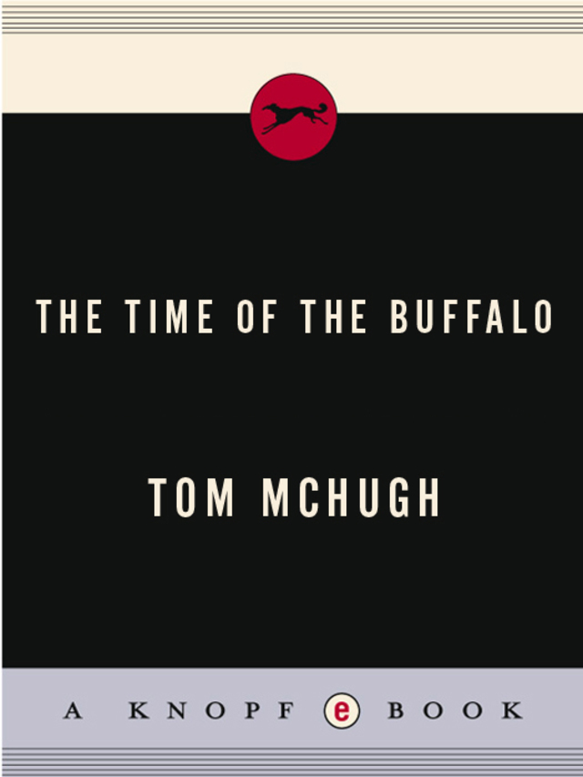 The Time Of The Buffalo