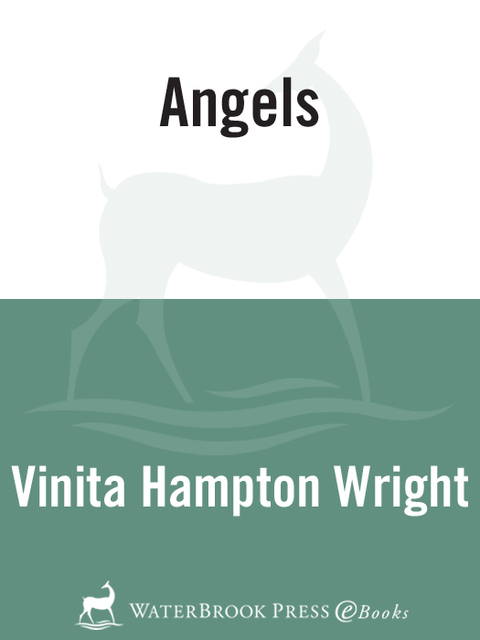 Cover image for book Angels