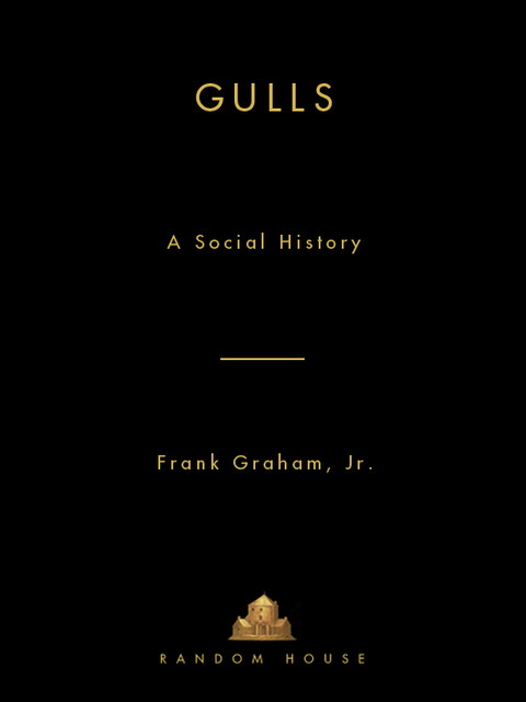 Cover image for book Gulls