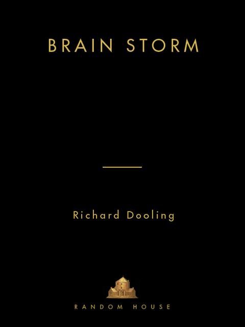 Cover image for book Brain Storm