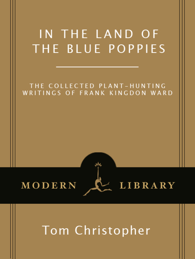 In the Land of the Blue Poppies