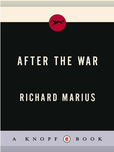 Cover image for book After The War