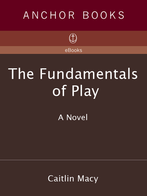 Cover image for book The Fundamentals of Play