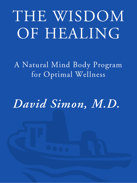 Cover image for book The Wisdom of Healing
