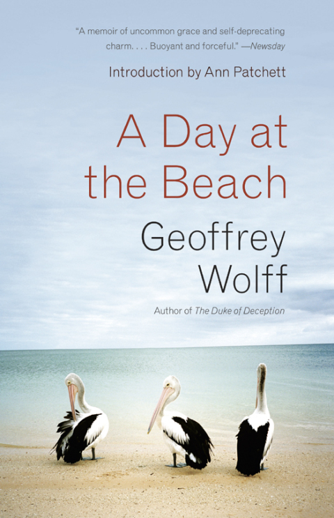 Cover image for book A Day at the Beach