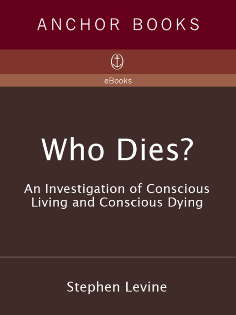 Cover image for book Who Dies?