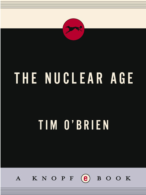 Cover image for book The Nuclear Age