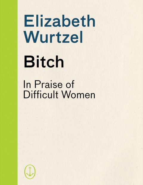 Cover image for book Bitch