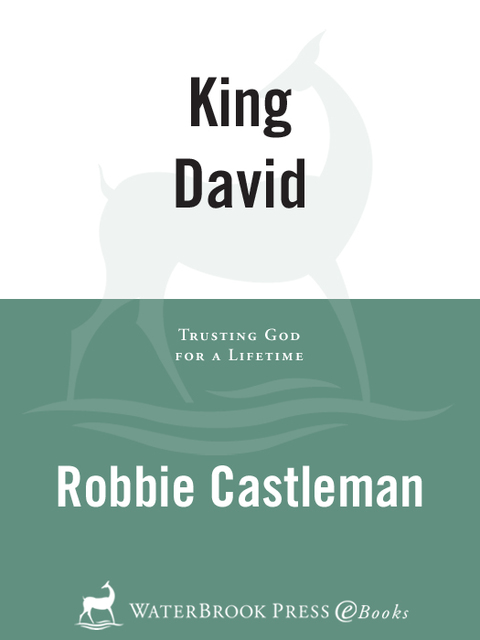 Cover image for book King David